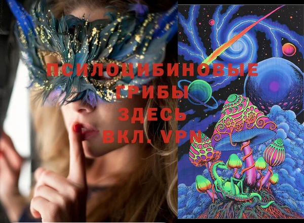 мяу мяу мука Беломорск