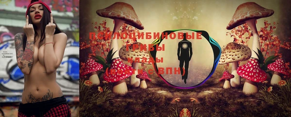 мяу мяу мука Беломорск