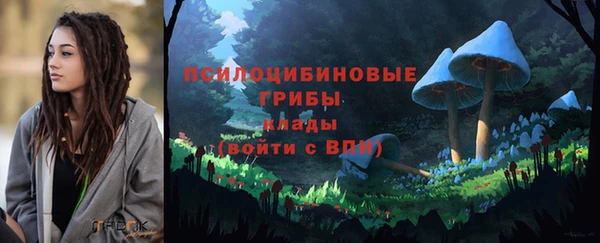 мяу мяу мука Беломорск