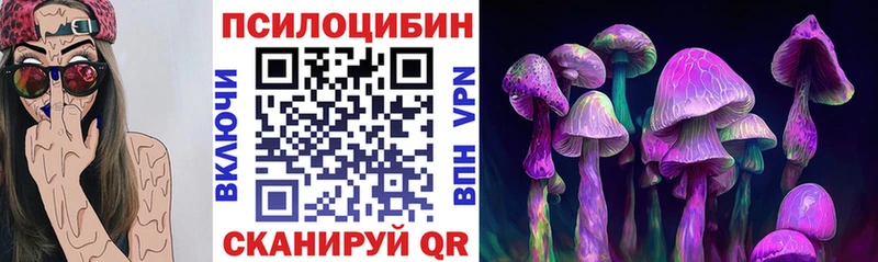 Псилоцибиновые грибы MAGIC MUSHROOMS  Купить  Курчатов 