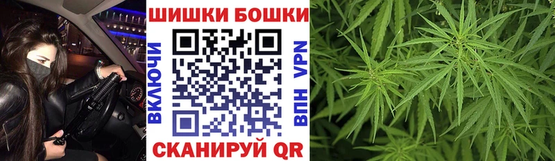 Шишки марихуана сатива  Купить где  Курчатов 